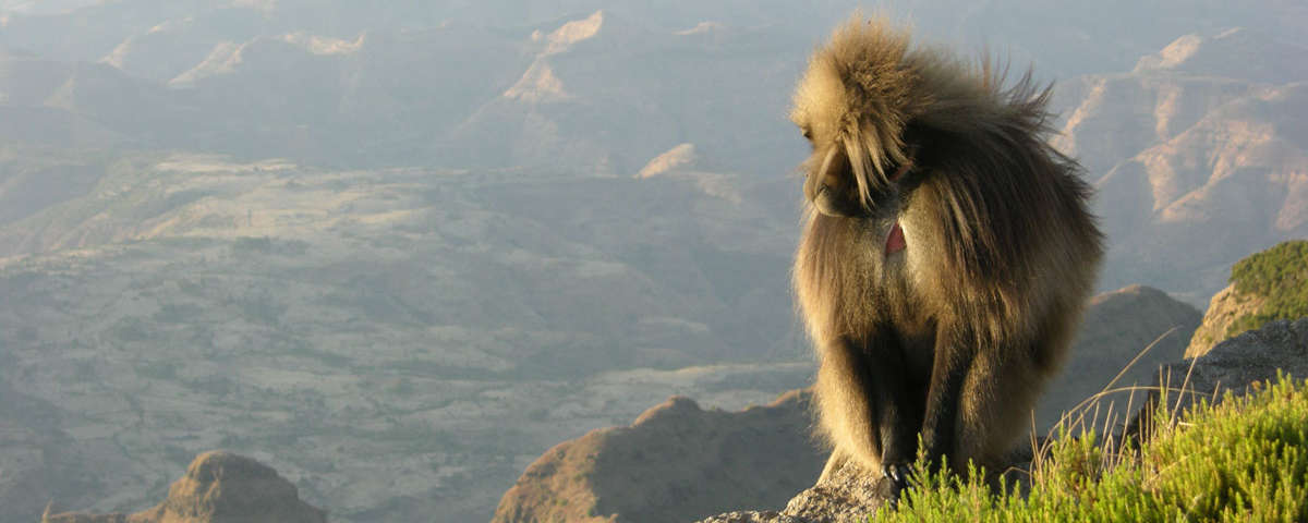 Simien Mountains ()